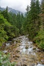 River in the Tatra Mountains, Poland