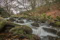 The river Taw, Devon UK
