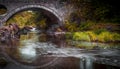 Cenarth bridge reflection Royalty Free Stock Photo