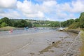 River Teifi, Wales Royalty Free Stock Photo