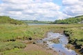 River Teifi, Wales Royalty Free Stock Photo