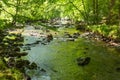 River Teign Fingle Bridge Dartmoor Devon Royalty Free Stock Photo