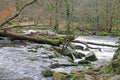 River Teign at Fingle Bridge, Devon Royalty Free Stock Photo