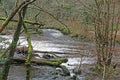 River Teign at Fingle Bridge, Devon Royalty Free Stock Photo