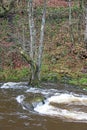 River Teign at Fingle Bridge, Devon Royalty Free Stock Photo