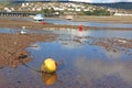 River Teign at low tide Royalty Free Stock Photo