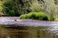 River Teme at Tenbury Wells