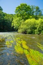 River thaya in Austria