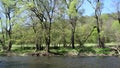 River thaya near hardegg