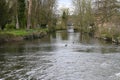 River Thet, Thetford, Norfolk, England, UK Royalty Free Stock Photo