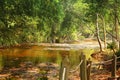 River of Thousand Lingas or Kbal Spean in Phnom Kulen National Park Royalty Free Stock Photo