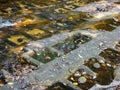 River of Thousand Lingas or Kbal Spean in Phnom Kulen National Park Royalty Free Stock Photo