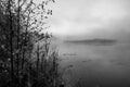 River and trees on a foggy autumn morning