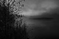 River and trees on a foggy autumn morning