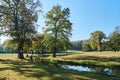 river and trees in the garden of the Muskauer park during autumn Royalty Free Stock Photo