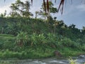 A river with trees on a hill and green grass under a blue sky Royalty Free Stock Photo