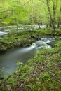 River, Tremont, Great Smoky Mtns NP Royalty Free Stock Photo