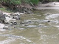 A river in Trindade - Paraty RJ