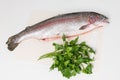 River trout and a bunch of greens lie on a white cutting board Royalty Free Stock Photo
