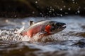 river trout jumping out of the water of a mountain river generative ai Royalty Free Stock Photo