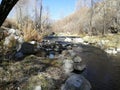 river turkey autumn