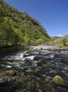 River Tywi RSPB Dinas