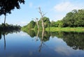 River in Uda Walawe national park