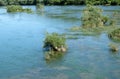 River Una on a summer day in Hrvatska Kostajnica, Croatia