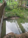 The river under the highway bridge over the Cilamatan river, Cipunagara Village