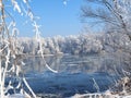 River under the ice and tree branches covered with white frost Royalty Free Stock Photo