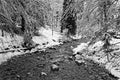 A river under the snow in Chartreuse Black and white Royalty Free Stock Photo