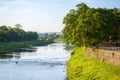 river uzh at sunrise. trees on the grassy embankment in morning light