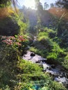 river valley on the mountainside