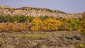 Little Missouri River valley with clusters of Ash trees Royalty Free Stock Photo