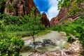 River Valley in Upper Zion National Park, Utah. Royalty Free Stock Photo