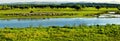 River and vast grassland