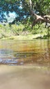 River with vegetation on the banks, crystal clear and shallow waters Royalty Free Stock Photo