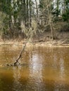 River view in early spring, beautiful cloud reflections in water Royalty Free Stock Photo