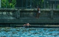 River view of little boys playing at the bay. Children jumping into the water.