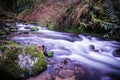 A river view near McDowell Falls, Oregon