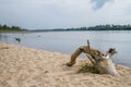 The River Vistula Wisla, Poland