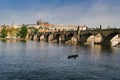 River Vltava and Charles bridge