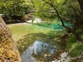 River Voidomatis in summer people for pick nick under the green trees Greece