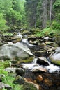 River Vydra and landscape Sumava, Czech Republic, Europe