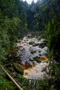 River Vydra in Sumava Royalty Free Stock Photo