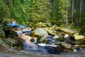 River Vydra in Sumava Royalty Free Stock Photo