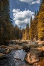river Vydra in Sumava mountains Royalty Free Stock Photo