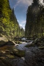 River Vydra in Sumava mountains Royalty Free Stock Photo