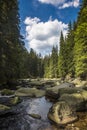River Vydra in Sumava mountains Royalty Free Stock Photo