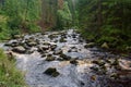 River Vydra in Sumava Royalty Free Stock Photo